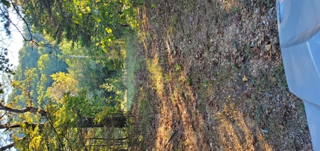 Investment opportunity hunting fishing building mature timber - image 5