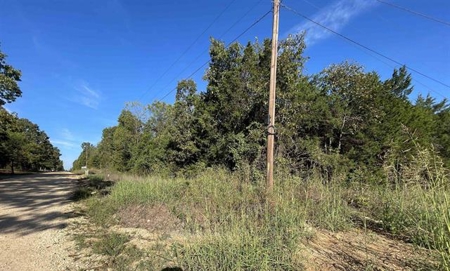 Vacant land ready to build in Glencoe AR - image 14
