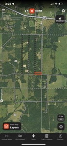 Vacant land ready to build in Glencoe AR - image 10