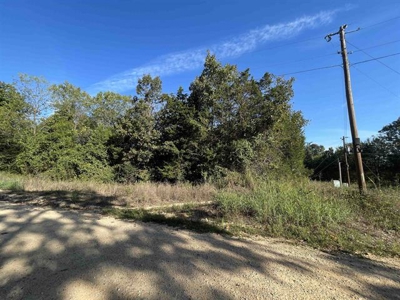 Vacant land ready to build in Glencoe AR - image 2