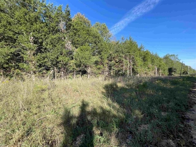 Vacant land ready to build in Glencoe AR - image 7