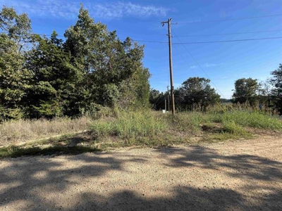 Vacant land ready to build in Glencoe AR - image 13