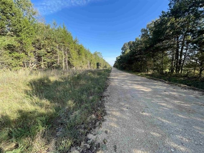 Vacant land ready to build in Glencoe AR - image 11