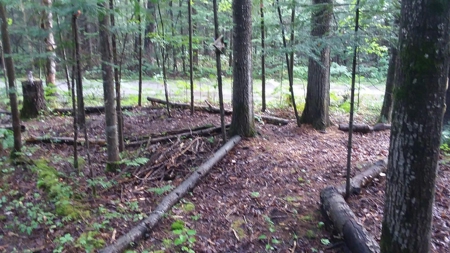 Peaceful Year-Round or Getaway Home on Miller Creek Hillman MI - image 38