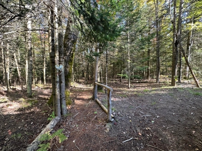 Peaceful Year-Round or Getaway Home on Miller Creek Hillman MI - image 12