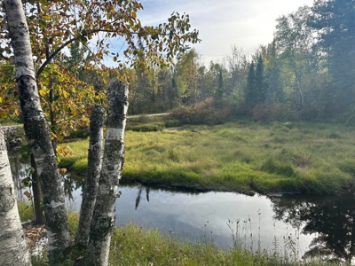 Peaceful Year-Round or Getaway Home on Miller Creek Hillman MI - image 7