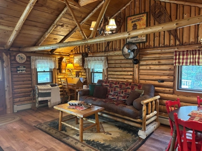 Peaceful Year-Round or Getaway Home on Miller Creek Hillman MI - image 11