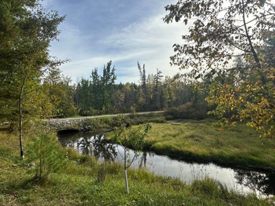 Peaceful Year-Round or Getaway Home on Miller Creek Hillman MI - image 10