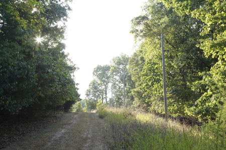 Land For Sale in Near Lake Of The Ozarks Missouri - image 43