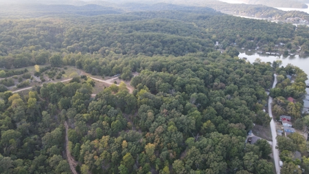 Land For Sale in Near Lake Of The Ozarks Missouri - image 21