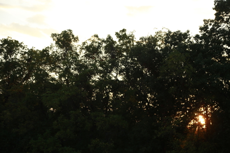 Land For Sale in Near Lake Of The Ozarks Missouri - image 37