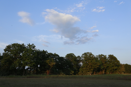 Land For Sale in Near Lake Of The Ozarks Missouri - image 49