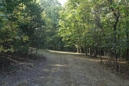 Land For Sale in Near Lake Of The Ozarks Missouri - image 40