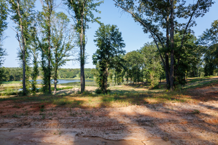 Lindale TX Land for Sale in Smith County East TX Lake & Homesites - image 8