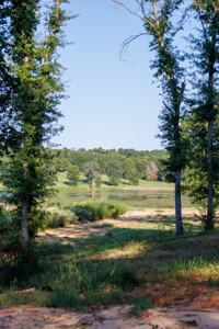 Lindale TX Land for Sale in Smith County East TX Lake & Homesites - image 7