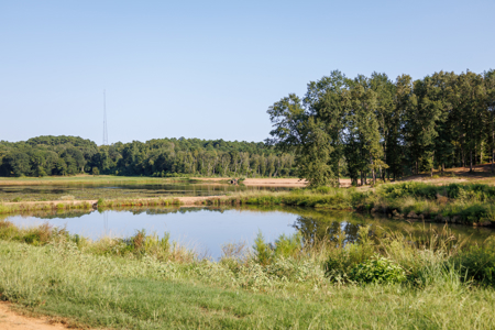 Lindale TX Land for Sale in Smith County East TX Lake & Homesites - image 4