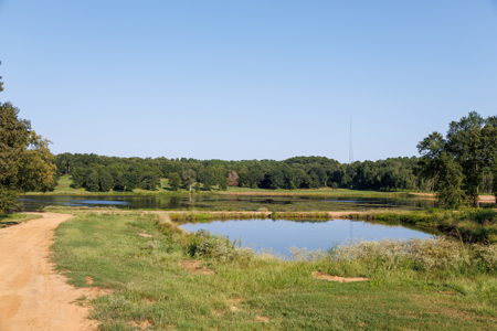 Lindale TX Land for Sale in Smith County East TX Lake & Homesites - image 3