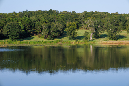 Lindale TX Land for Sale in Smith County East TX Lake & Homesites - image 32