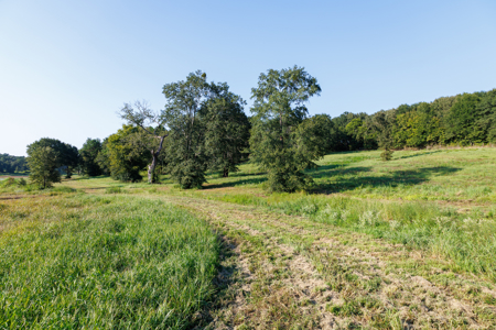 Lindale TX Land for Sale in Smith County East TX Lake & Homesites - image 23