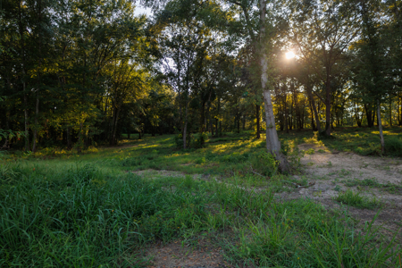 Lindale TX Land for Sale in Smith County East TX Lake & Homesites - image 38