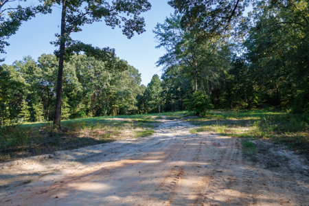 Lindale TX Land for Sale in Smith County East TX Lake & Homesites - image 9