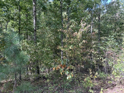 Small acreage for sale in Douglas County MO with No Restrictions - image 18