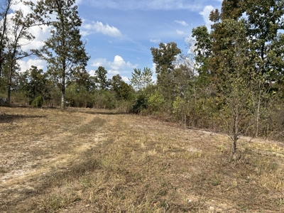 Small acreage for sale in Douglas County MO with No Restrictions - image 27