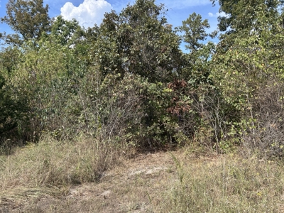 Small acreage for sale in Douglas County MO with No Restrictions - image 22