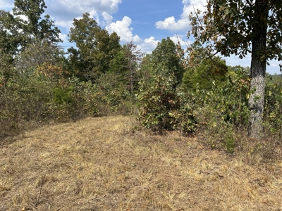 Small acreage for sale in Douglas County MO with No Restrictions - image 10