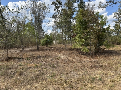 Small acreage for sale in Douglas County MO with No Restrictions - image 3