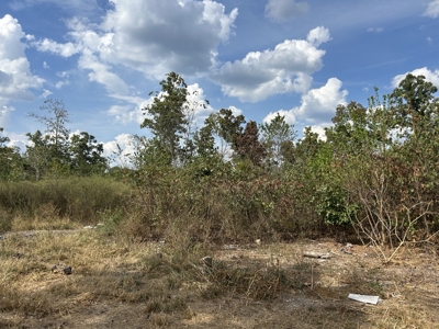 Small acreage for sale in Douglas County MO with No Restrictions - image 7