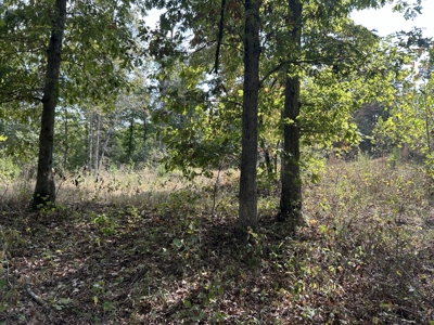 Small acreage for sale in Douglas County MO with No Restrictions - image 20