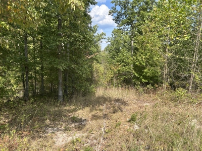 Small acreage for sale in Douglas County MO with No Restrictions - image 16