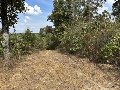 Small acreage for sale in Douglas County MO with No Restrictions - image 9