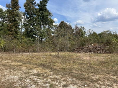 Small acreage for sale in Douglas County MO with No Restrictions - image 2