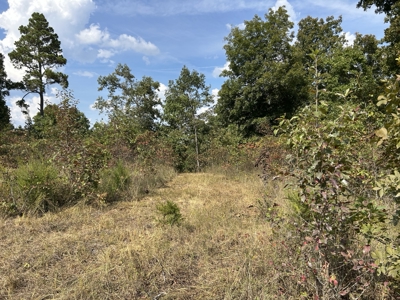 Small acreage for sale in Douglas County MO with No Restrictions - image 23