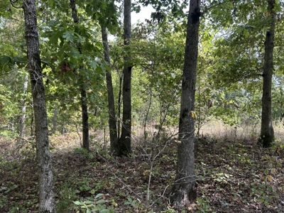 Small acreage for sale in Douglas County MO with No Restrictions - image 19