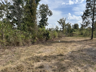 Small acreage for sale in Douglas County MO with No Restrictions - image 8