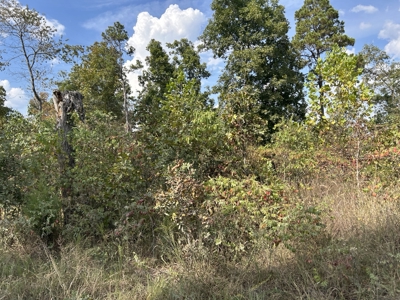 Small acreage for sale in Douglas County MO with No Restrictions - image 24