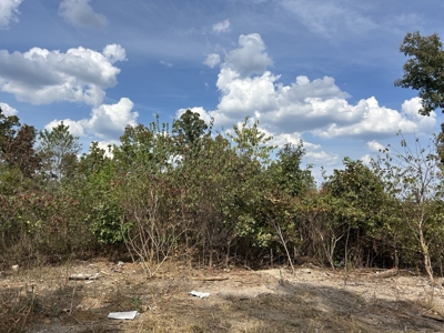 Small acreage for sale in Douglas County MO with No Restrictions - image 6