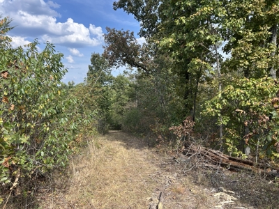 Small acreage for sale in Douglas County MO with No Restrictions - image 11