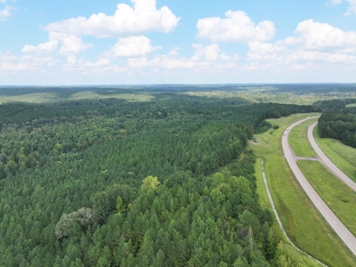 Mississippi Land For Sale With A Creek - image 10