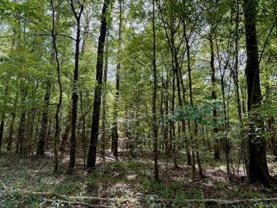 Mississippi Land For Sale With A Creek - image 30