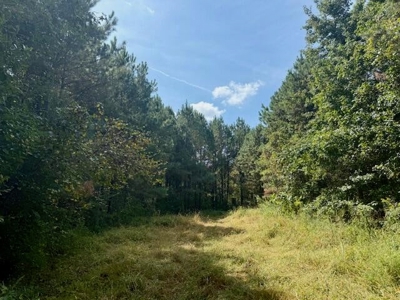 Mississippi Land For Sale With A Creek - image 36