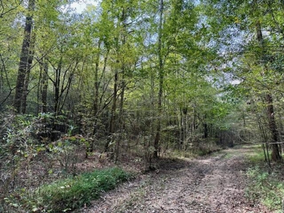 Mississippi Land For Sale With A Creek - image 14
