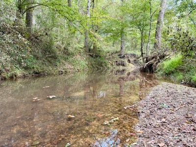 Mississippi Land For Sale With A Creek - image 1
