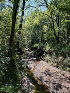 Mississippi Land For Sale With A Creek - image 17
