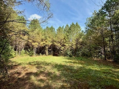 Mississippi Land For Sale With A Creek - image 4
