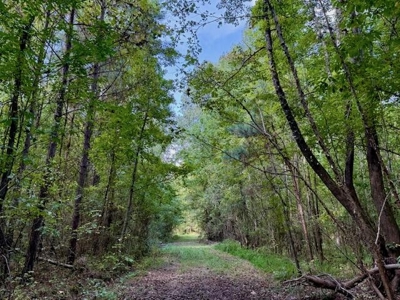 Mississippi Land For Sale With A Creek - image 15