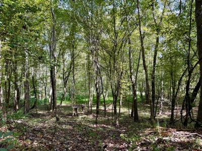 Mississippi Land For Sale With A Creek - image 27